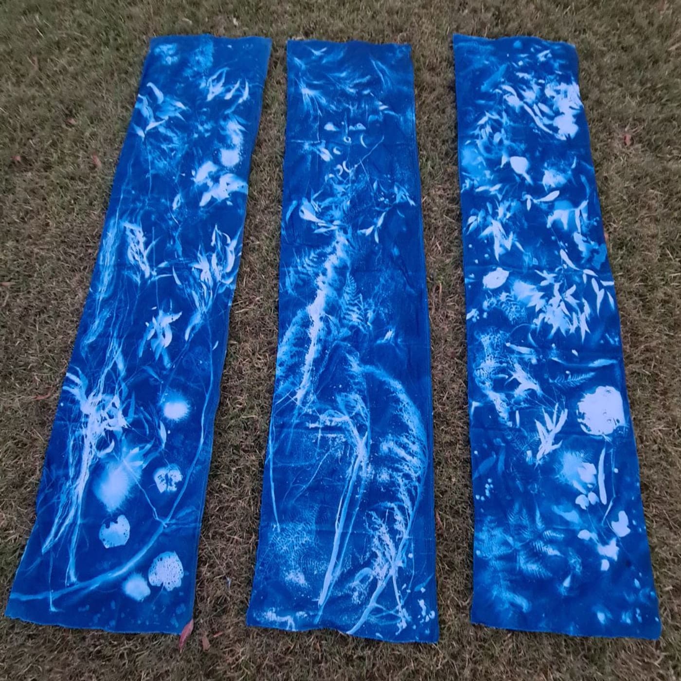 Three tall cyanotype panels of botanical forms in deep Prussian blue, laid out on grass