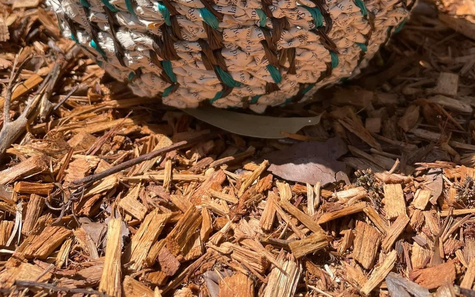 A coiled bowl with teal stitching resting among garden foliage