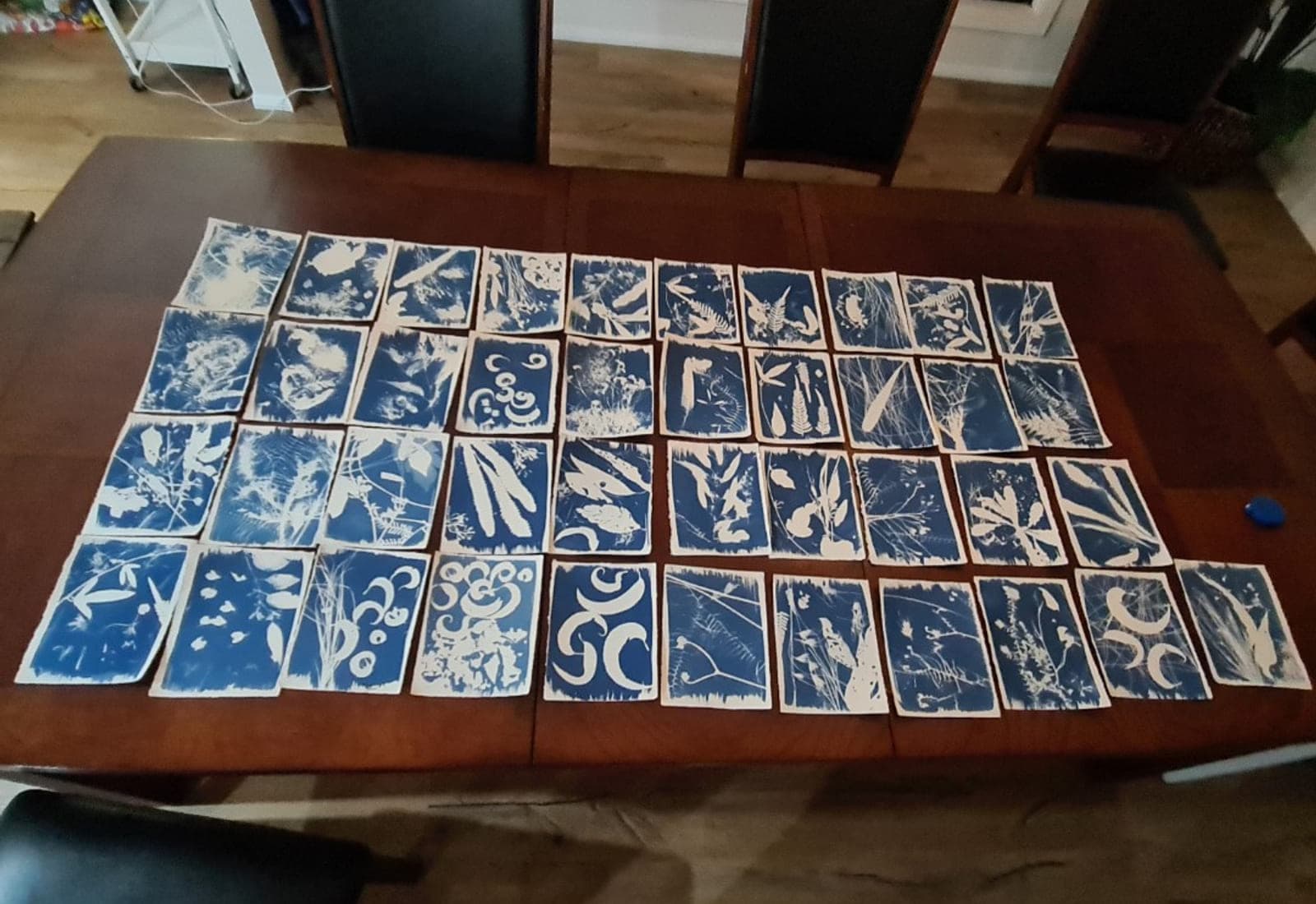 A grid of small cyanotype tiles laid out on a table