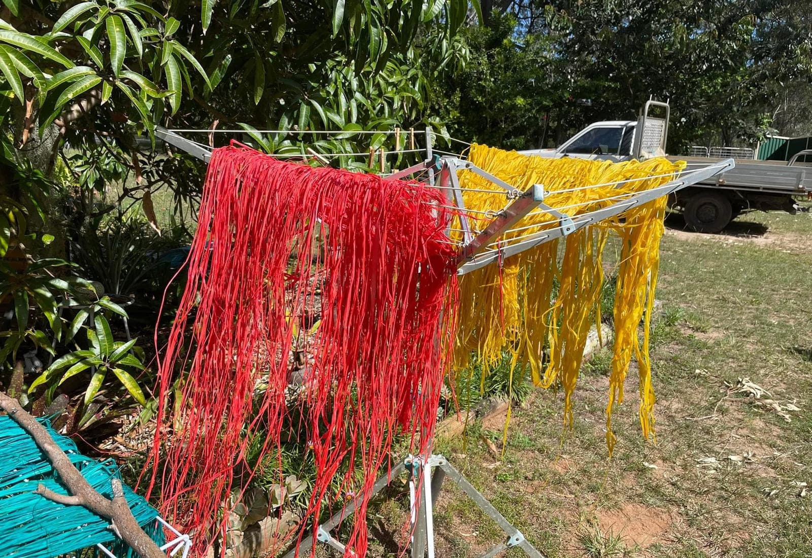 Red and yellow dyed raffia drying on a rack in a garden
