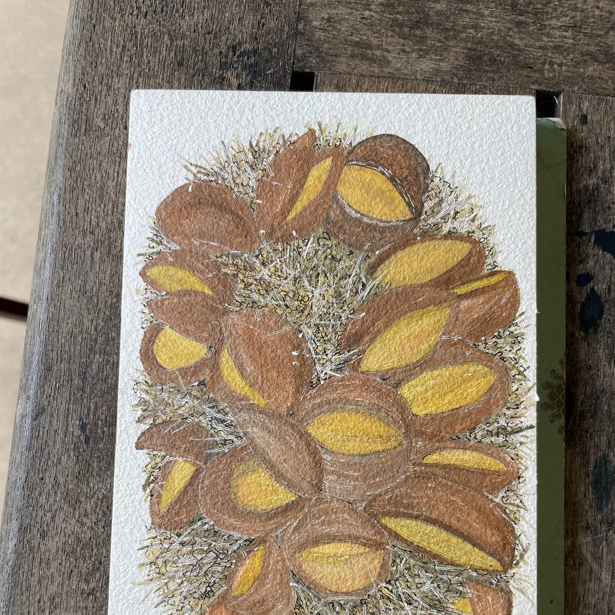 A coloured drawing of a seed cone with ochre pods, on card propped against weathered timber