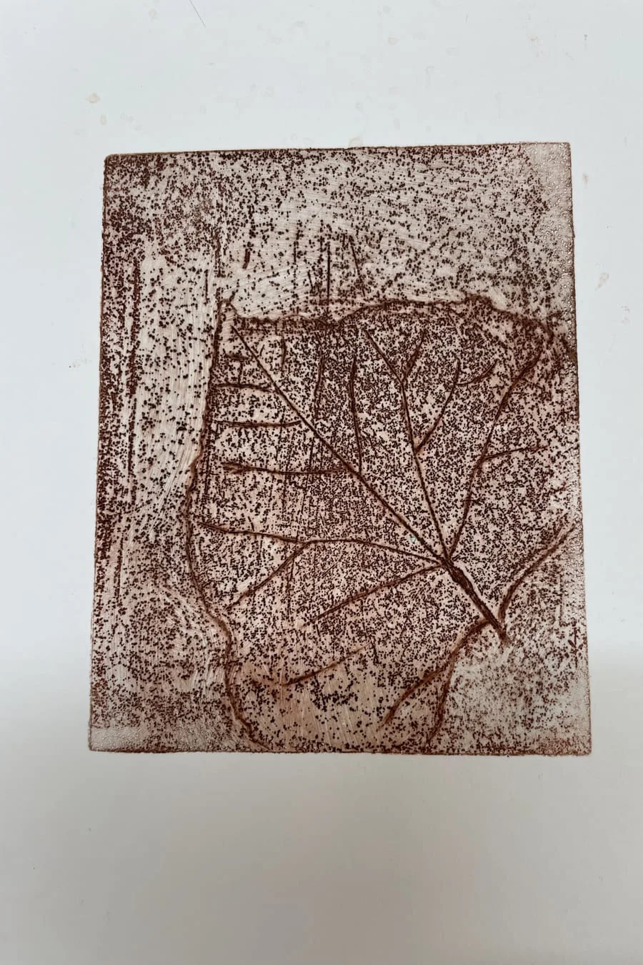 A brown collagraph print of a single leaf on white paper