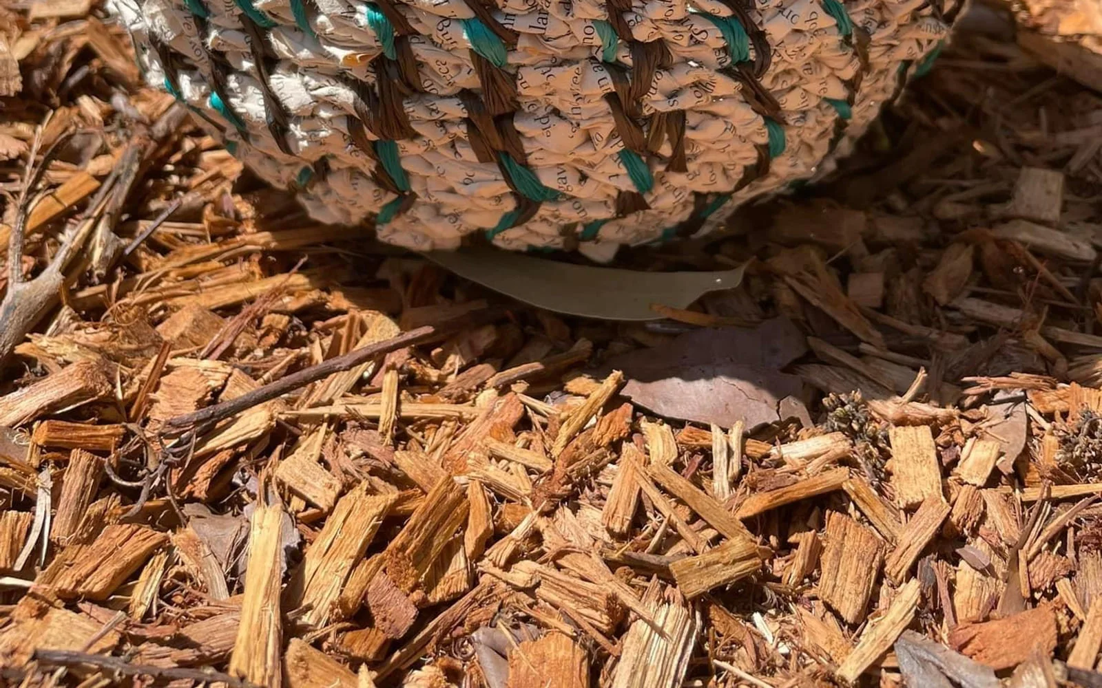 The base of a coiled bowl with teal stitching, resting on bark mulch