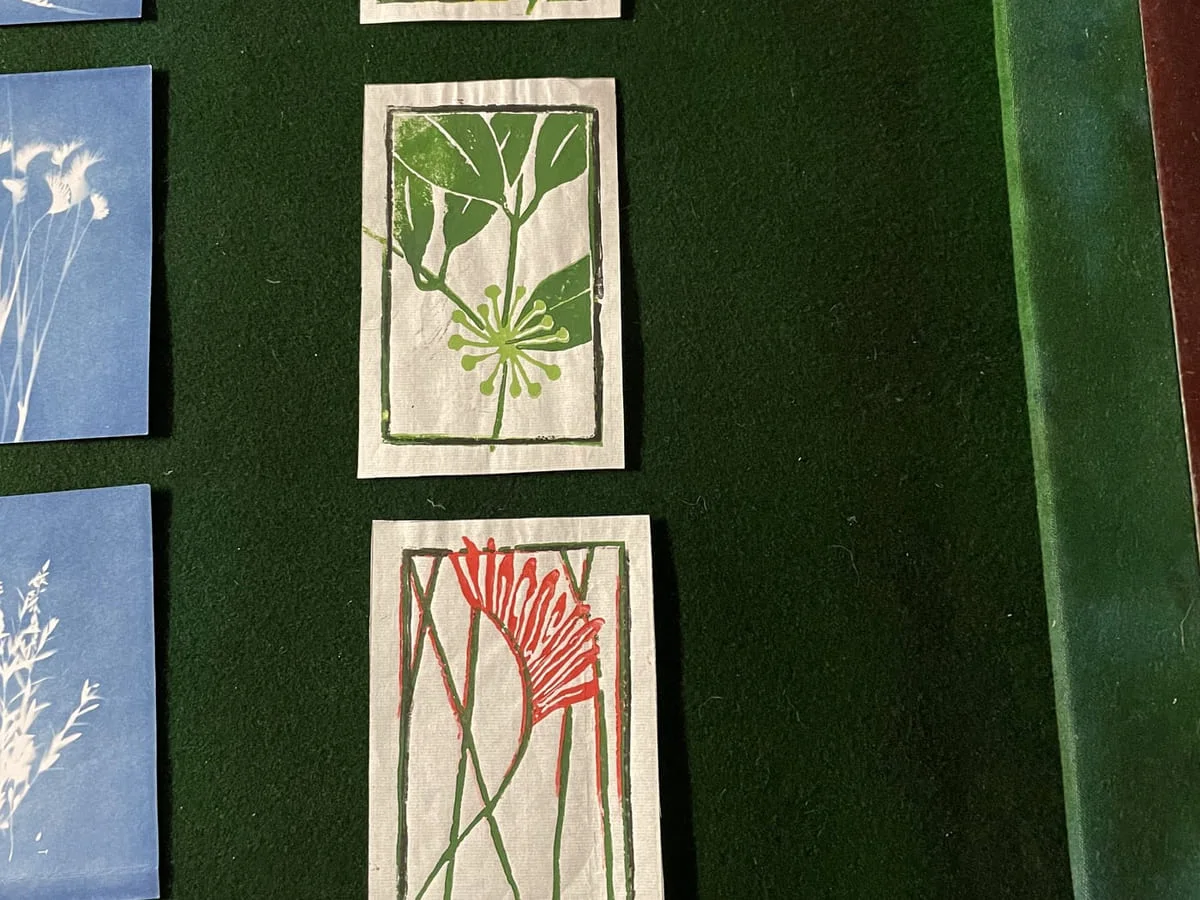 Botanical lino prints in green and red beside blue cyanotypes on green baize