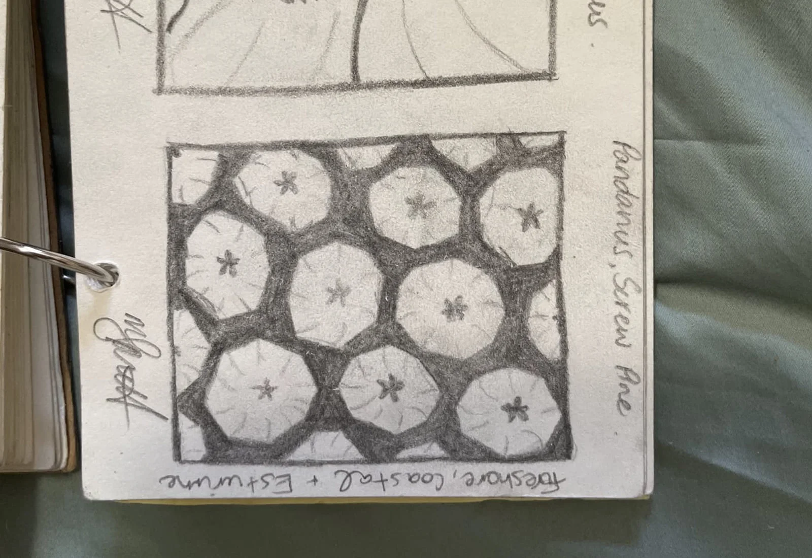 A sketchbook page with a pencil study of a hexagonal pattern and handwritten notes