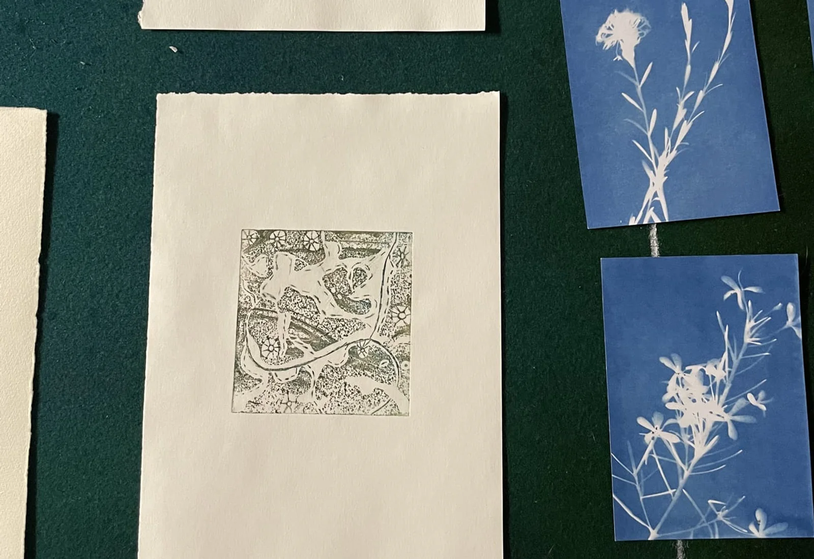 A small botanical print on cream paper beside two cyanotypes on green baize